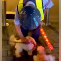 夜、散歩中に『大好…