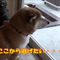 お出かけだと思って…