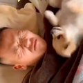 朝6時、爆睡している…