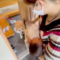 出産のため２週間の…
