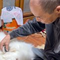 小さなころから遊ん…