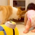 隙間に入ったおもち…