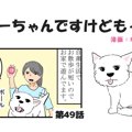 ちーちゃんですけど…