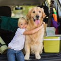 犬がシニア期を迎え…