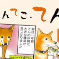 てんてこ、てん。【…