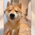 酸っぱいもの食べた…