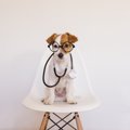 『動物病院での絶対N…