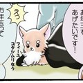 かわうそちわわ。（6…