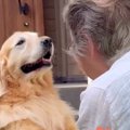 おばあちゃんの家に…