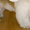 生まれて初めて『地…