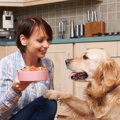 愛犬の手作りごはん…