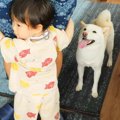 犬のいる家に『赤ち…