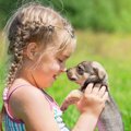子犬の社会化におけ…