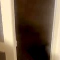 『お風呂場からもの…