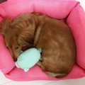 冷房の省エネ対策と…