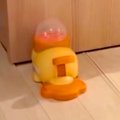 犬に『オヤツが出る…