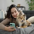 愛犬が困ってしまう…