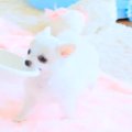 【話題】「なんだ、…