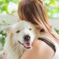 「ペットは心身の健…