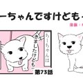 ちーちゃんですけど…