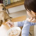 犬の食事の時間は決…