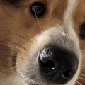 『絶対に悪いことし…