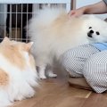 朝、寝起きだと『甘…