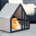 室内用の犬小屋おすすめ12選！選び方や置き場所も紹介