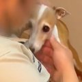 1年前『排水管洗浄の…