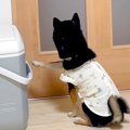 大好きなお父さんが…