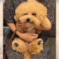 まるでぬいぐるみ♡二…