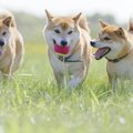 ご近所トラブルを防…