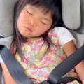 4歳の女の子と目いっ…