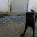 襲いかかる『カネ・…