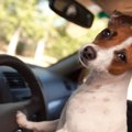 状況や場面によって…