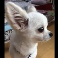 【話題】こ、こわく…