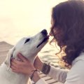 犬は『人の顔』を覚…