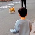 火災で離れ離れにな…