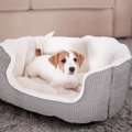 犬に買うべきではな…