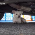 暑い路上にひとりで…
