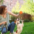 犬が『人に喋りかけ…