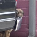 保護が不安で「ヒー…