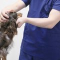 遺伝性の病気を知る…