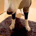 いつもニコニコな大…
