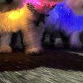 自宅が近づくと、な…