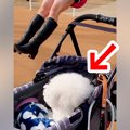 『ブランコに乗るお…