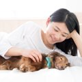 あるある？犬が寝て…