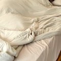 『人間のベッド』で…
