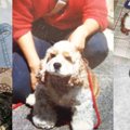 寒さも和らぐ！愛犬…