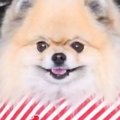 ママが抱っこすると…